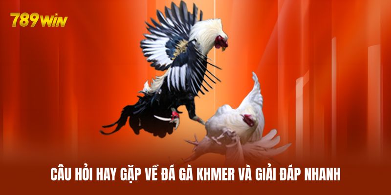 Câu hỏi hay gặp về đá gà Khmer và giải đáp nhanh