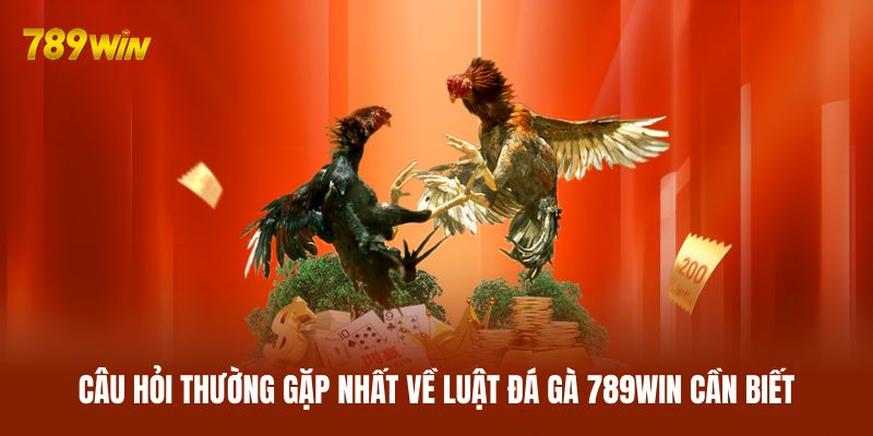Câu hỏi thường gặp nhất về luật đá gà 789WIN cần biết