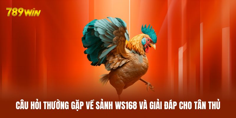 Câu hỏi thường gặp về sảnh WS168 và giải đáp cho tân thủ