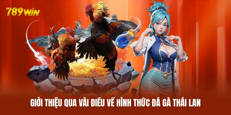 Giới thiệu qua vài điều về hình thức đá gà Thái Lan