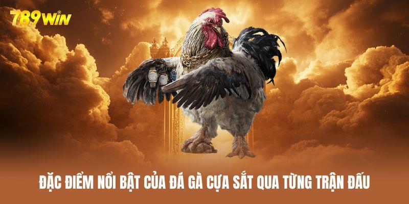 Các đặc điểm của một trận đá gà cựa sắt điển hình