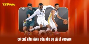 Kèo Dụ Là Gì 789WIN? Toàn Bộ Kiến Thức Bạn Cần Biết