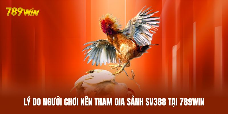 Lý do người chơi nên tham gia sảnh SV388 tại 789WIN