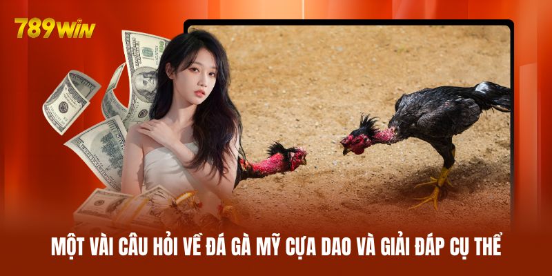 Một vài câu hỏi về đá gà Mỹ cựa dao và giải đáp cụ thể
