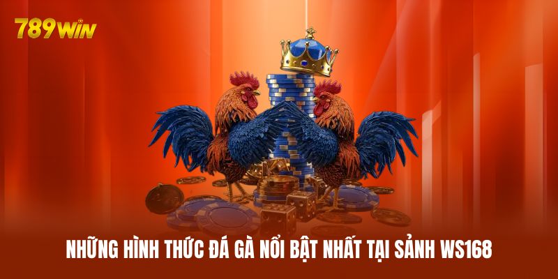 Những hình thức đá gà nổi bật nhất tại sảnh WS168