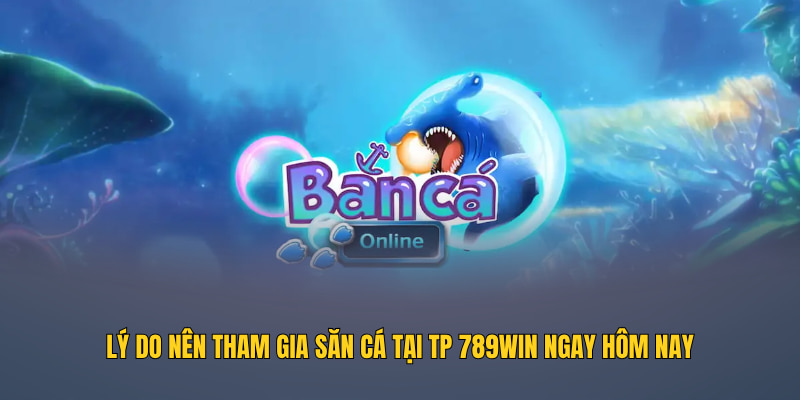 Lý do nên tham gia săn cá tại TP 789WIN ngay hôm nay
