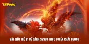 Vài điều thú vị về sảnh SV388 trực tuyến chất lượng
