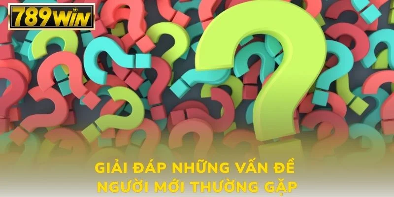 Giải đáp những vấn đề người mới thường gặp